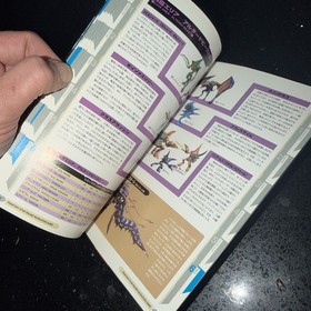 Phantasy Star Online Japanese Navigation Guide Book For Dreamcast 112 Pages