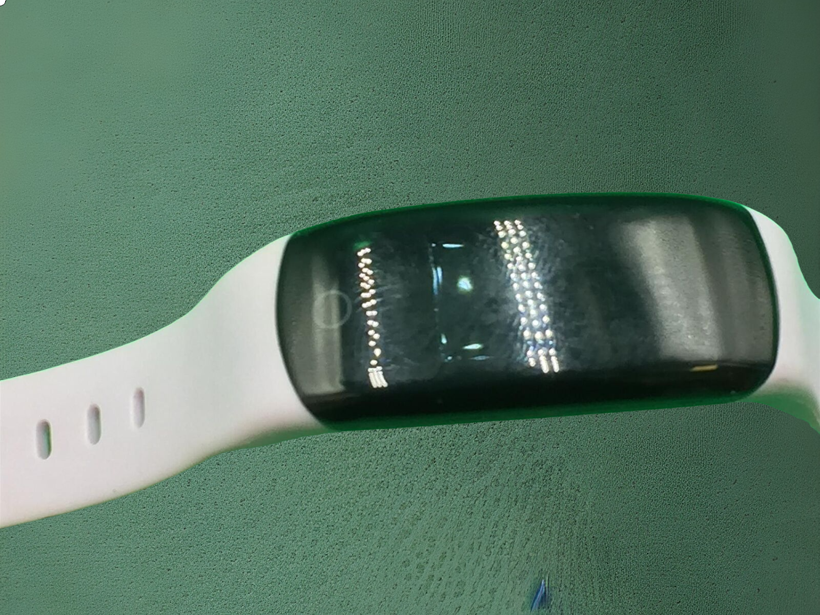 Picture 6 of 6