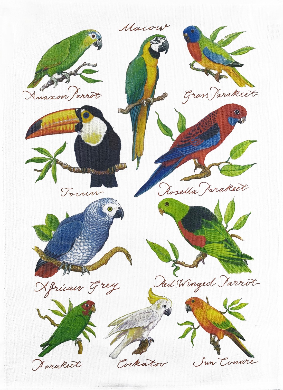 Tropical Birds Collection Tea Towel   machine washable, cotton, hand drawn