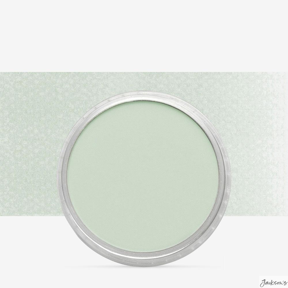 PanPastel Chromium Oxide Green Tint 8 Soft Pastel Pan 9ml Fine Art