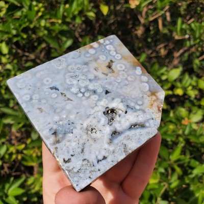 Ocean Jasper Translucent Dove Gray Orbicular Crystal Slice Tile 156 grams