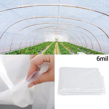 5 Year 6 Mil Clear Plastic Greenhouse Poly Film 25 ft. Wide x Various Lengths