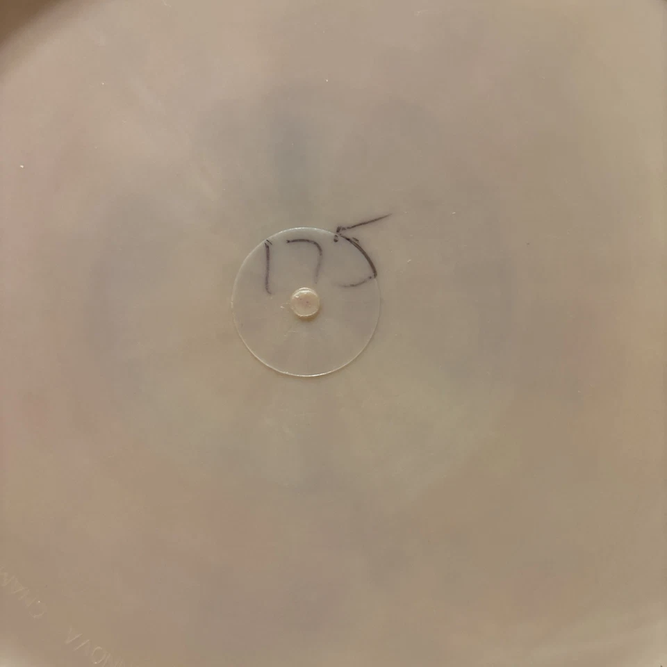 Discmania Sky God 2 - Simon Lizotte -Swirly P2 - 177g X-Out New Unthrown - Image 4 of 4