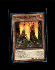 Salamangreat Raccoon SDSB-EN001 Prices | YuGiOh Structure Deck: Soulburner  | YuGiOh Cards