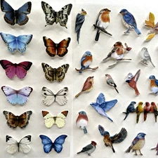Bird Butterfly Cardstock Stickers Collage Junk Journal Scrapbooking