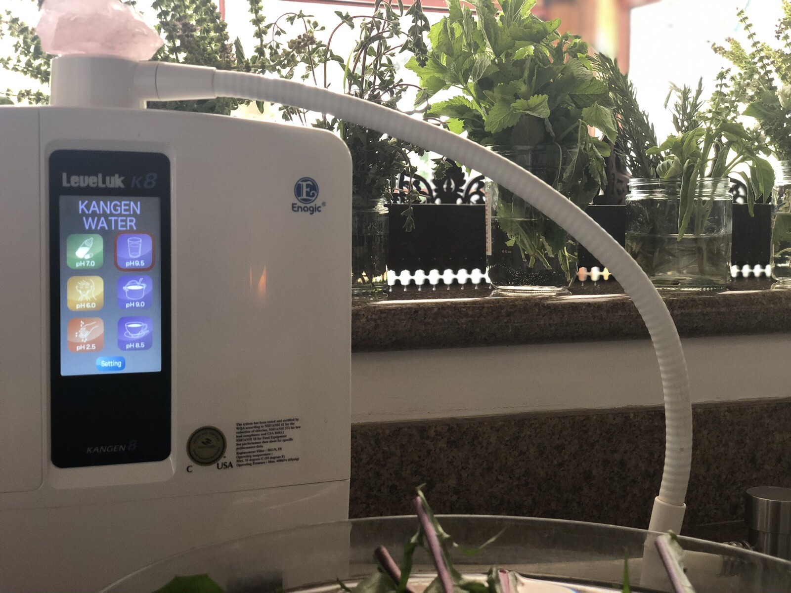 Enagic LeveLuk K8 Alkaline Water Ionizer Kangen Water Machine Water ...