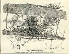 VINTAGE 1909 AVIATION CARTOON - British Punch Humor - AIRPLANE ILLUSTRATION 