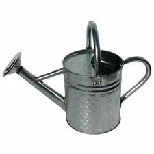 Gardener Select Watering Can Galvanized, Silver, 4 Liters, Removable Head