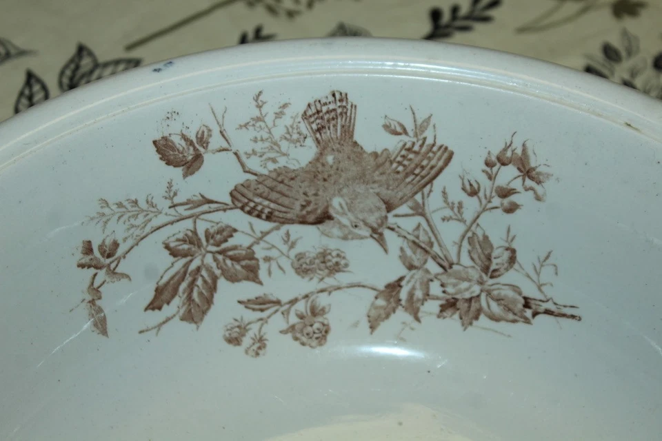 RARE ANTIQUE Aesthetic PUNCH BOWL Wash Basin WREN English Ironstone BIRDS - Image 3 of 4
