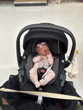 reborn prototype avalynn