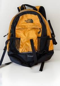 patagonia black hole messenger bag Mini MLC 30L – Store or busy city streets. Color:SCARLET RED Gold Hardware MOMIGO Breast Pump Backpack