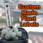 Plant Labels, Allotment Stakes,Agave Gracilius Operculicarya,Bonsai,Haworthia