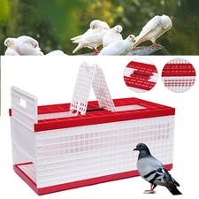 Racing Pigeon Carrier Box Bird Training Basket  2 Side Doors 2 Top Doors Box US