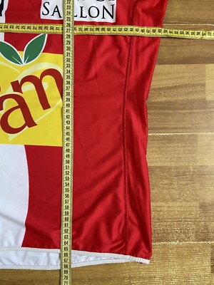 Maillot De Foot FC Sion Domicile 2010-2011 Porté Par Ogararu - Kappa Homme Taille L, Occasion