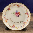 Small Souvenir Plate Of Sarnia, Ontario Gold Rose Schumann Arzberg Germany — photo 1