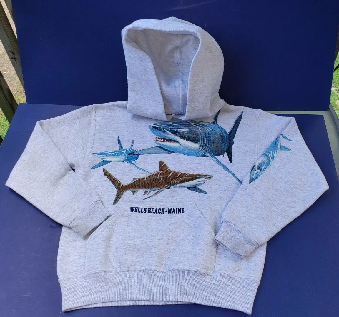 Boys shark sweatshirt new arrivals