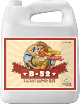 Advanced B-52 / 10L