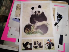 Vintage Art Print (LIGHT CREASE ON BOTTOM) PLAYFUL PANDA CUB 16x25"