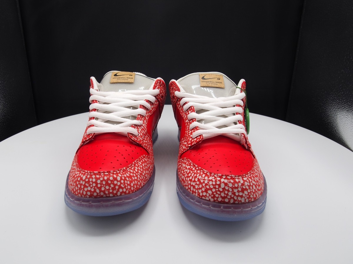 stingwater dunk on feet