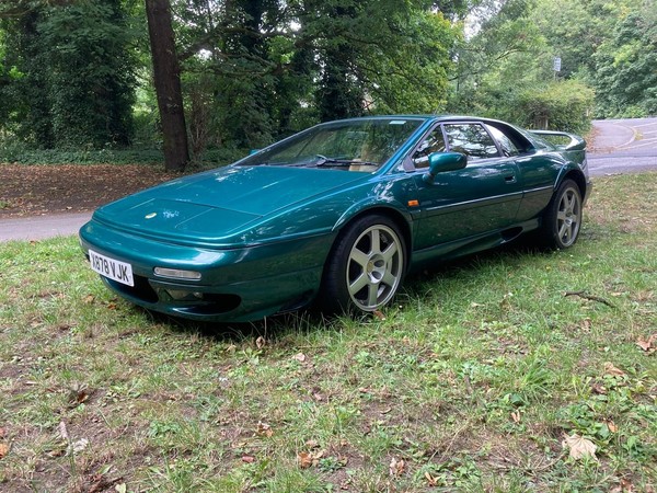 Image Placeholders2_edited.jpg