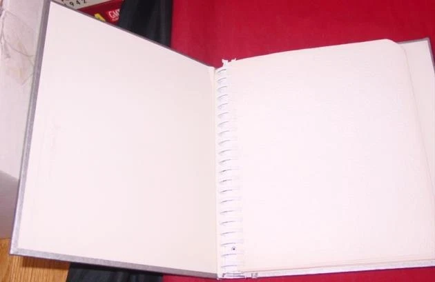 Hallmark 银周年个性化相册 - 稀有浮雕花卉(全新) — 第 4/4 张图片