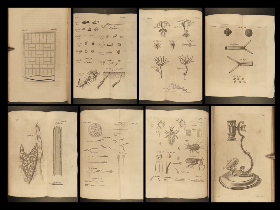 1754 Microscope Made Easy OPTICS Biology Chemistry Experiments Illustrated Baker - Image 2 of 4
