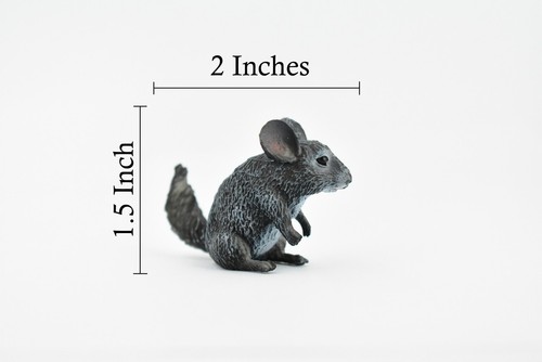 Chinchilla, Realistic Toy Rodent Figure, Model, Replica, Gift 2" CH229BB119 - 第 3/8 張圖片