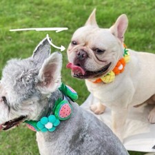 Dog Fruit Decorative Collar Pet Cat Flower Collar puppy kitten French Bulldog
