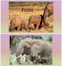 Elephant Elephants Vinyl Checkbook Cover with Matching Bookmark