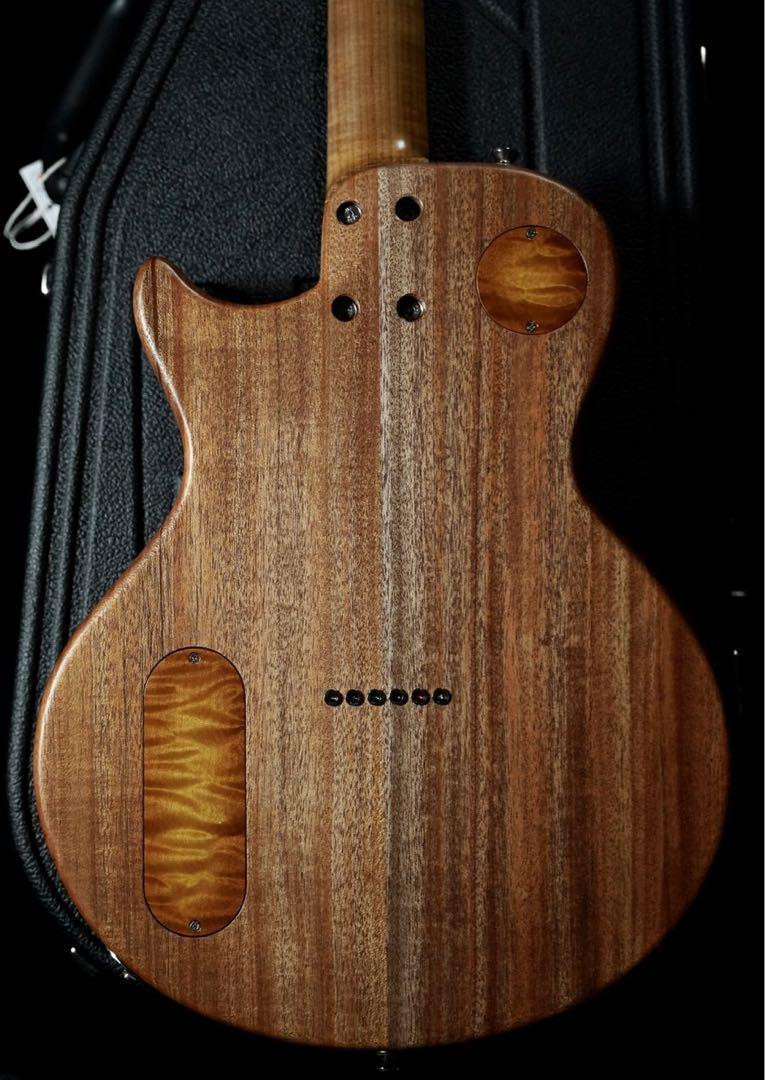 Electric Guitar PJD Carey Quilted Maple Top Mahogany Body