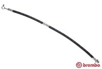 Brembo Bremsschlauch T 56 173 Passend FüR Nissan