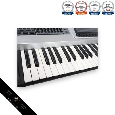 Roland Fantom G6 61-Key Keyboard Synthesizer Music Workstation
