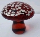 Picture 6 of 13