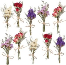 10 Pack Dried Flower Forget Me Not Bouquets Natural Dried Flower with Stem Dried