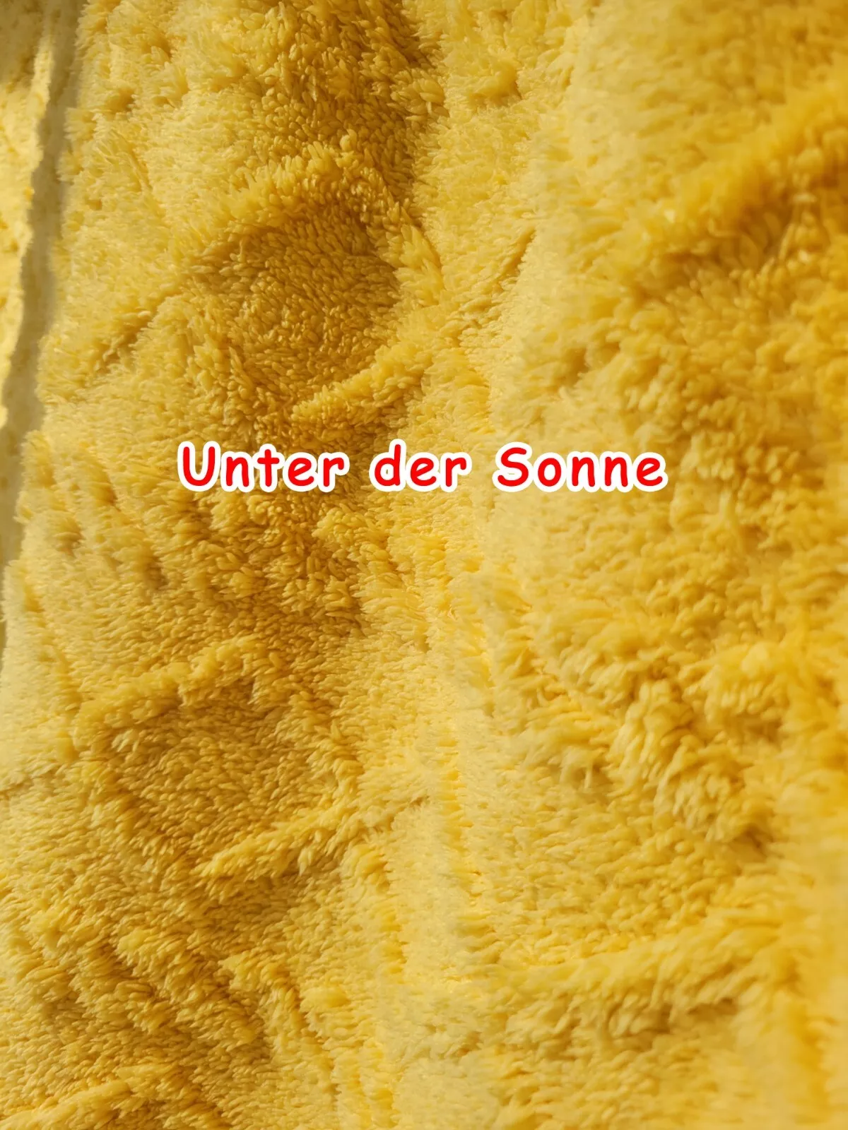 Bild 5 von 19