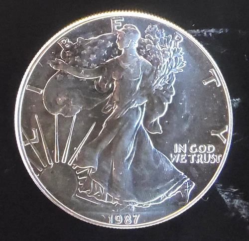 1987 American Eagle Toned Walking Liberty Bullion Vtg-0.999 Silver 1 Oz Coin 1r