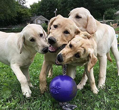 Jolly Pets Romp-n-Roll 6 inch Purple Rubber Ball with Rope for Dogs - Picture 2 of 7