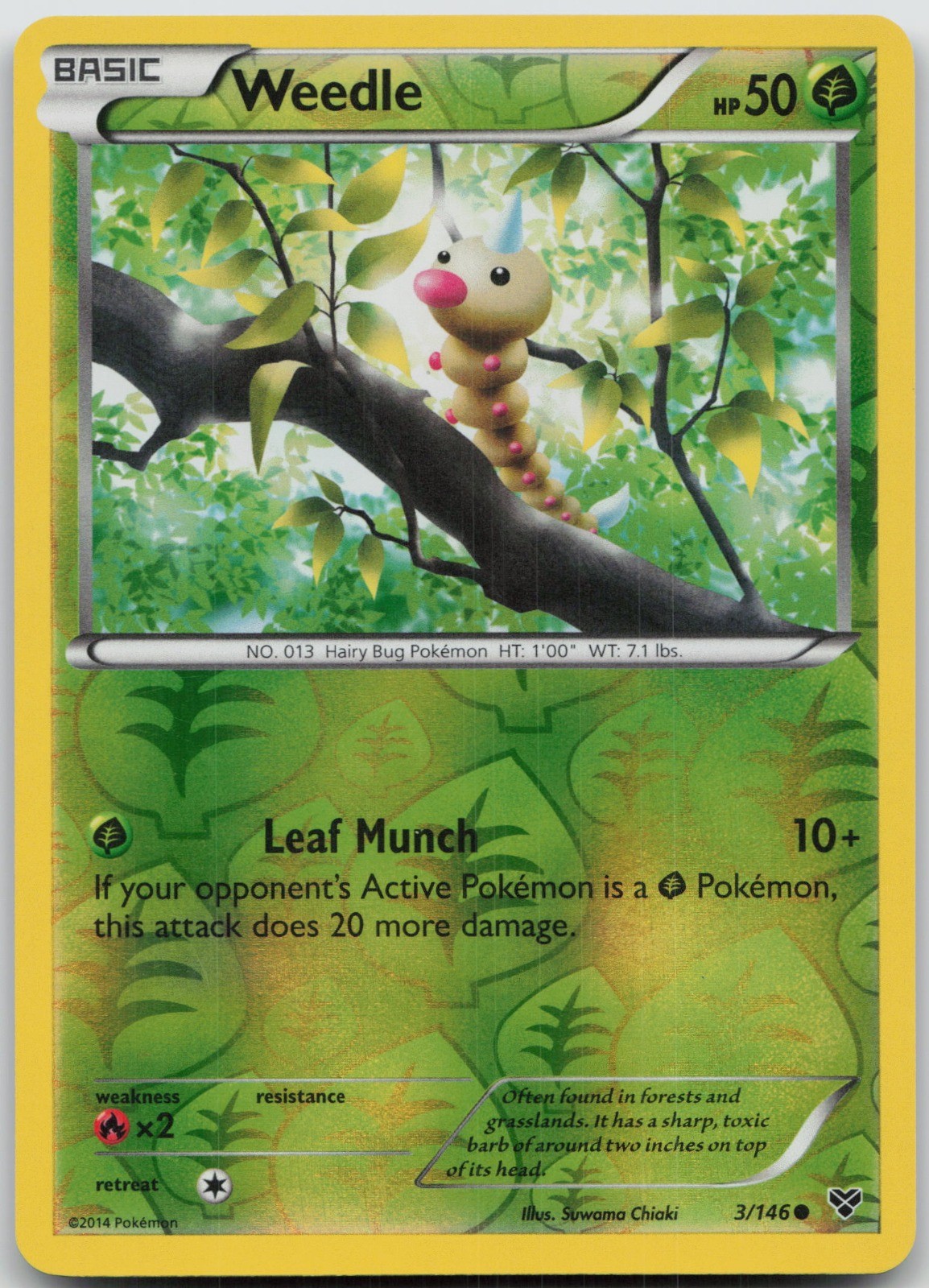 Weedle Common Reverse Holo XY Base Set 3/146 LP sui