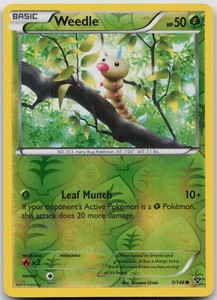 Weedle Reverse Holo Common XY Base Set 3/146