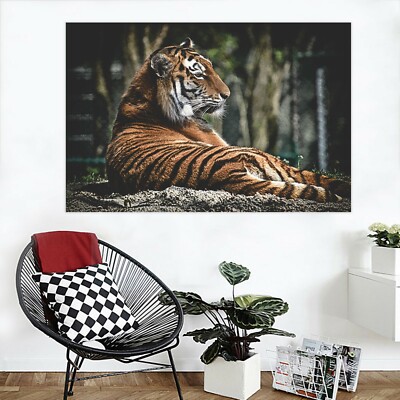 3D Lying Down Tiger C96 Animal Wall Stickers Wallpaper Mural Wall Murals Zoe