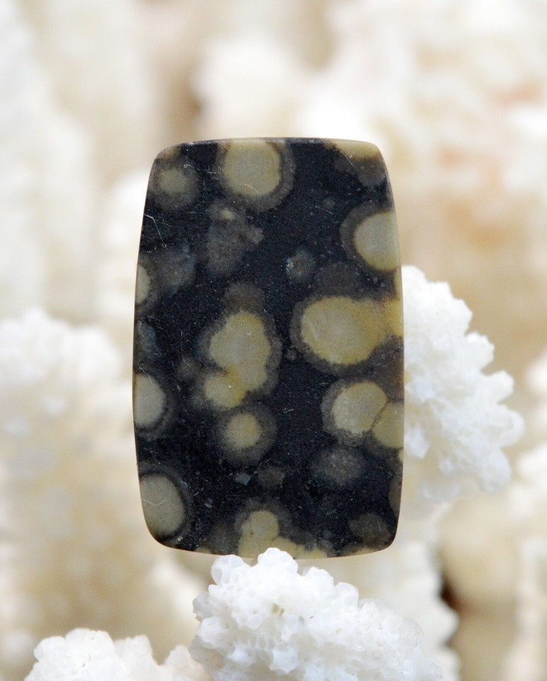 Rare Scapolite Jaune Naturelle D'Inde - Pierre Fines 4,36 Carats - 11,5 X 8,2 Mm - P192.129t