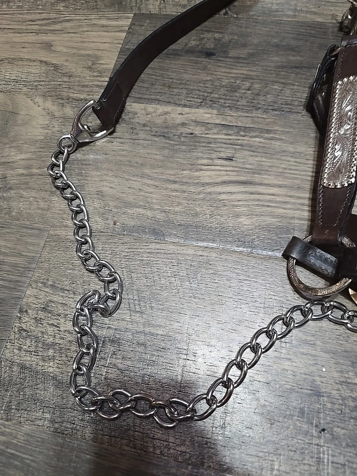 western show halter horse - Image 4 of 4