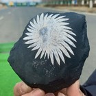 Foto 10 di 23