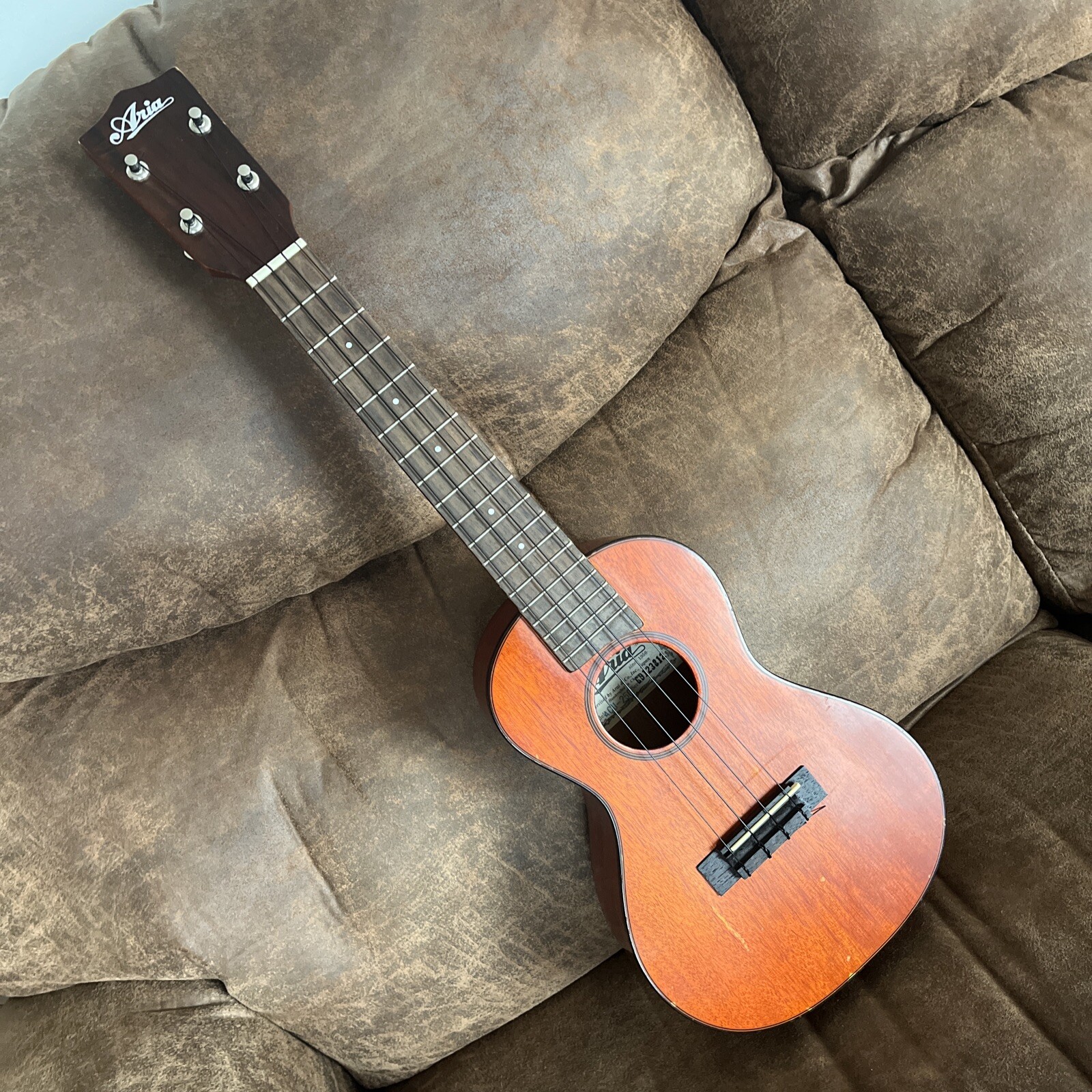 Aria Ukulele ACU250 *Rare Model eBay