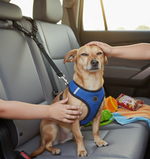 Dog Cat Car Seat Belt Headrest Restraint Adjustable Safety Vehicle Harness 1PK