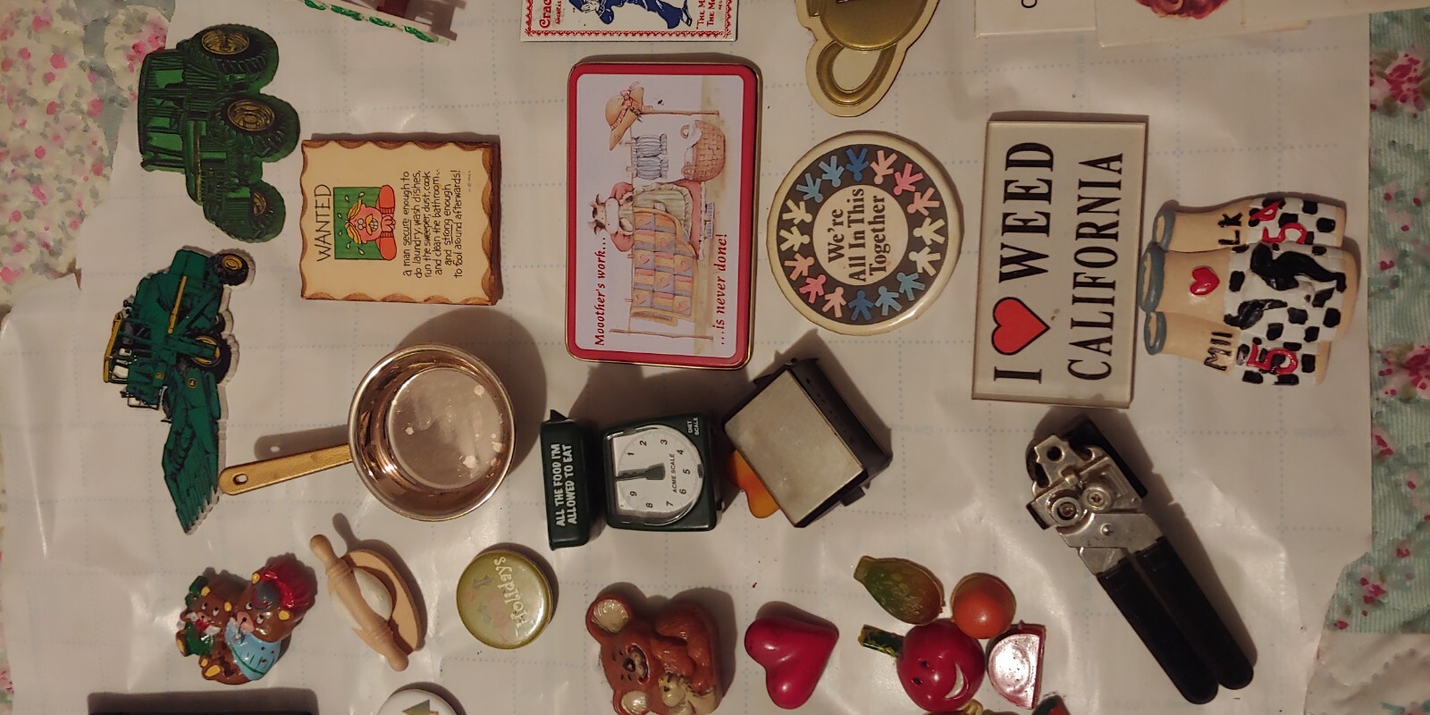 56 FUN REFRIGERATOR eBay