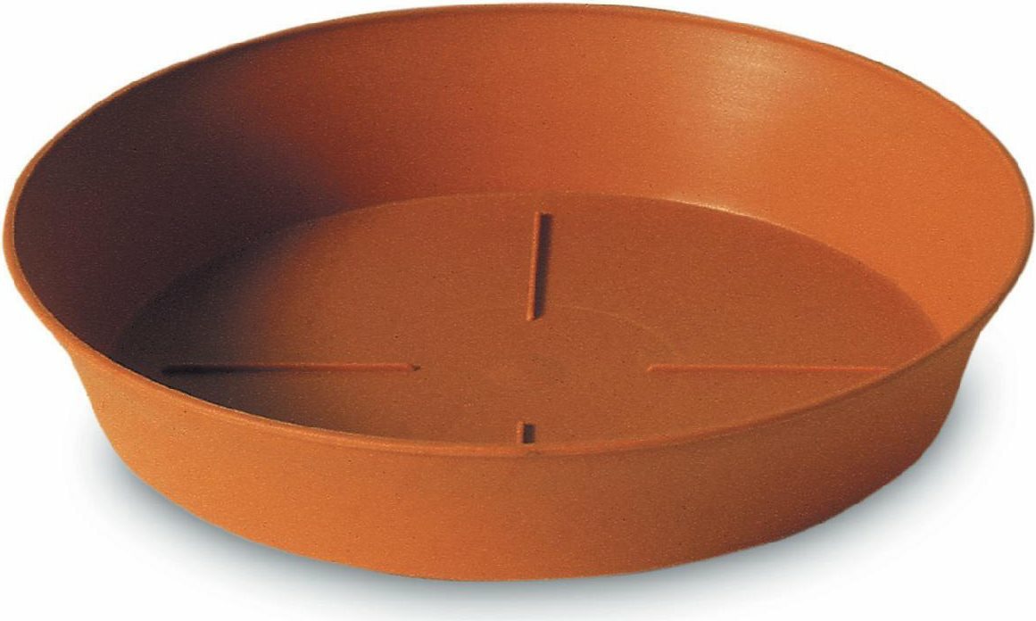 4 Sottovasi Rotondi In Plastica 20,3 Cm | Per Piante Da Interni Ed Esterni - 3