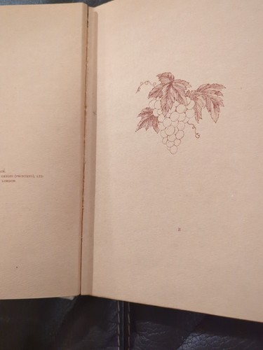 RUBAIYAT OF OMAR KHAYYAM Ronald Balfour Dodd, Mead and Company 1920 HC Vtg Rare - Picture 13 of 24