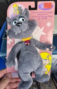 Sabrina Teenage Witch Salem | eBay