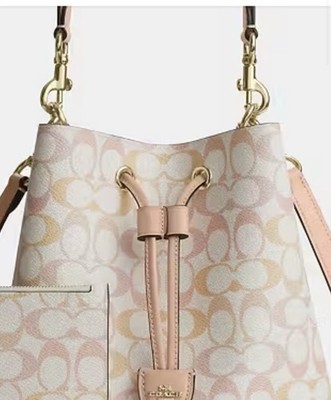Coach Rawson Bucket Hand Bag BNWT Dust bag Signature Bonus Purse